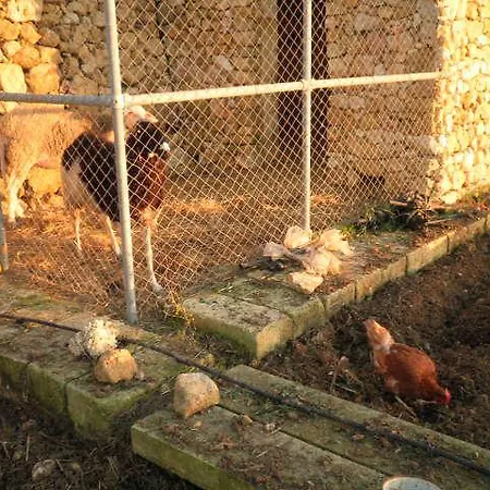 Hal Saghtrija, Apt F7 Zebbug (Gozo)